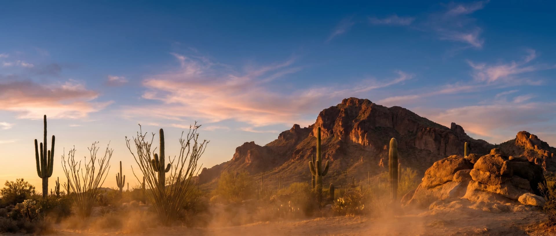 Sonoran desert saguaros at sunset across Arizona — Equity Path Offers' home market